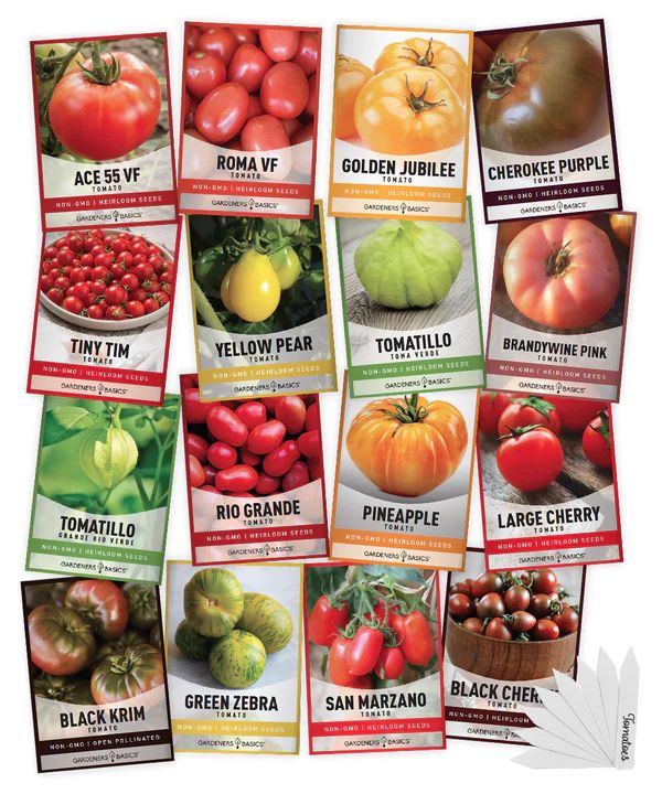 Choosing disease-resistant tomato varieties gives you a head start against early blight.