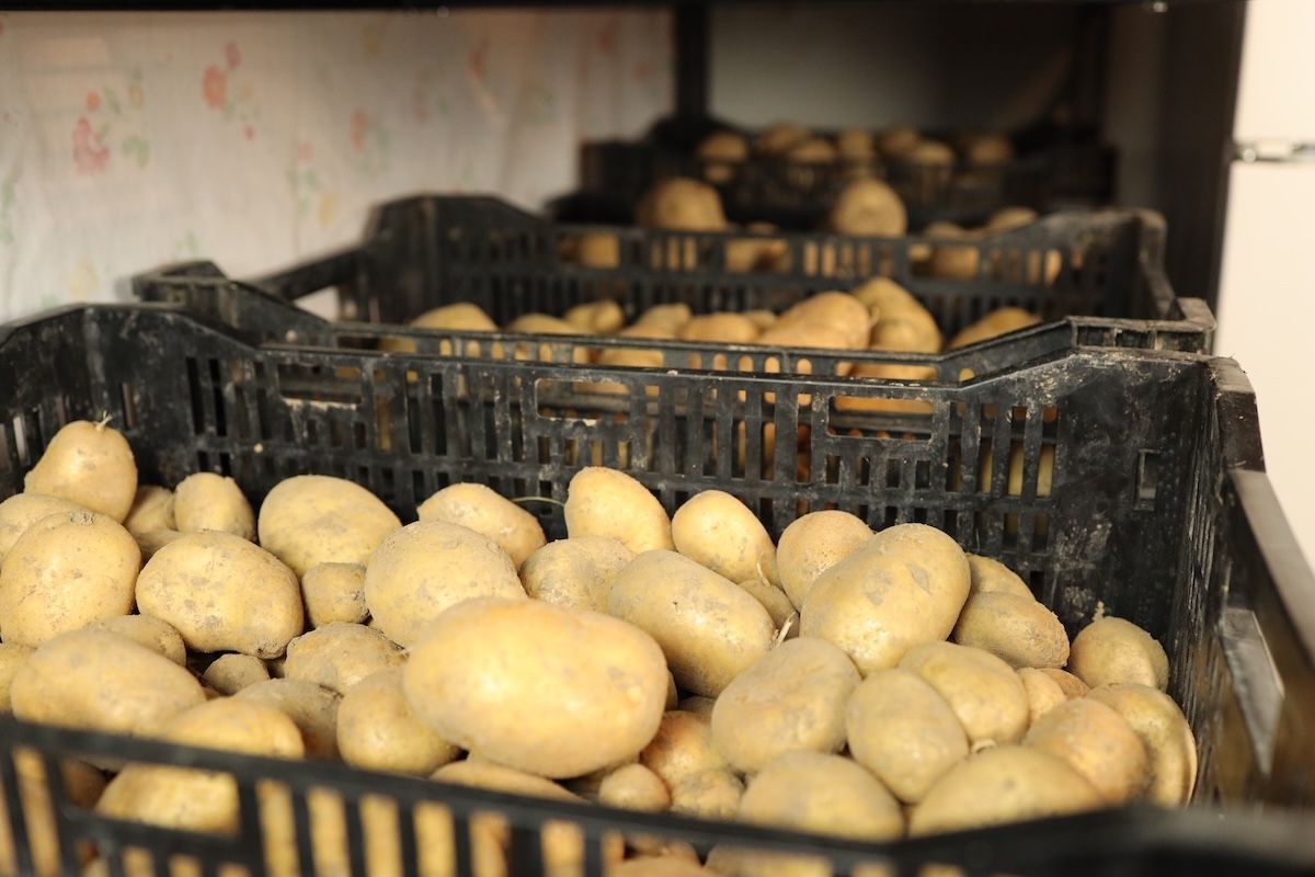 Ventilated Plastic Containers for potato storage