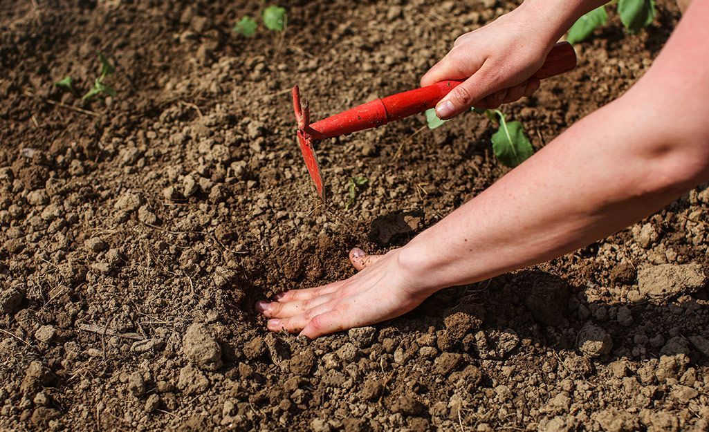 Understanding Clay Soil Characteristics Clay Soils