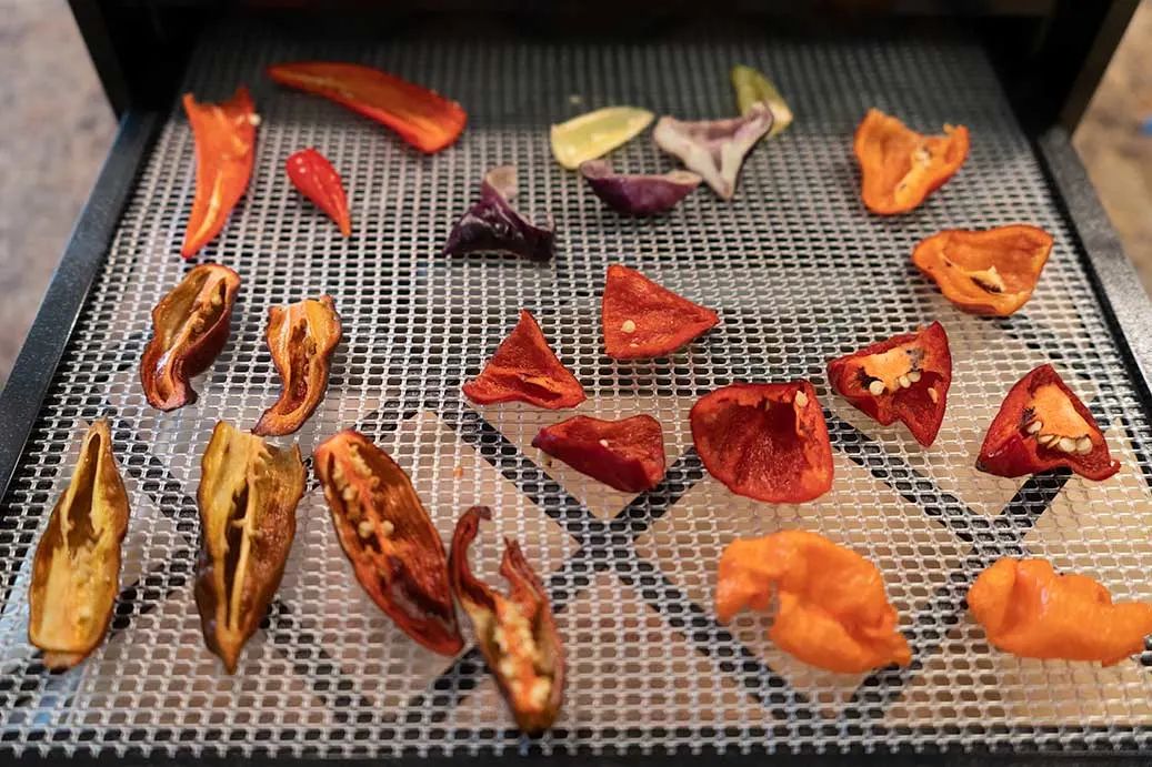 Tips for Drying and Storing Peppers pepper storage tips Drying and Dehydrating: Shelf-stable for Years