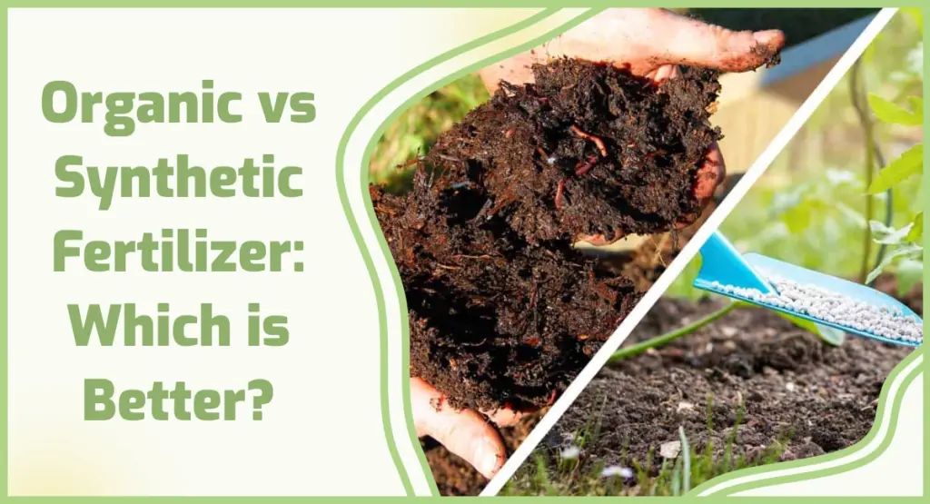 The Best Fertilizer Types for Zucchini  Organic vs. Synthetic Fertilizers
