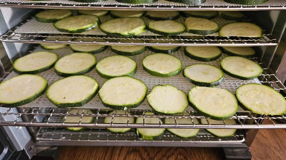 Dehydrating Zucchini for Long-Term Storage Method 4: Dehydrating and Creating Shelf-Stable Zucchini