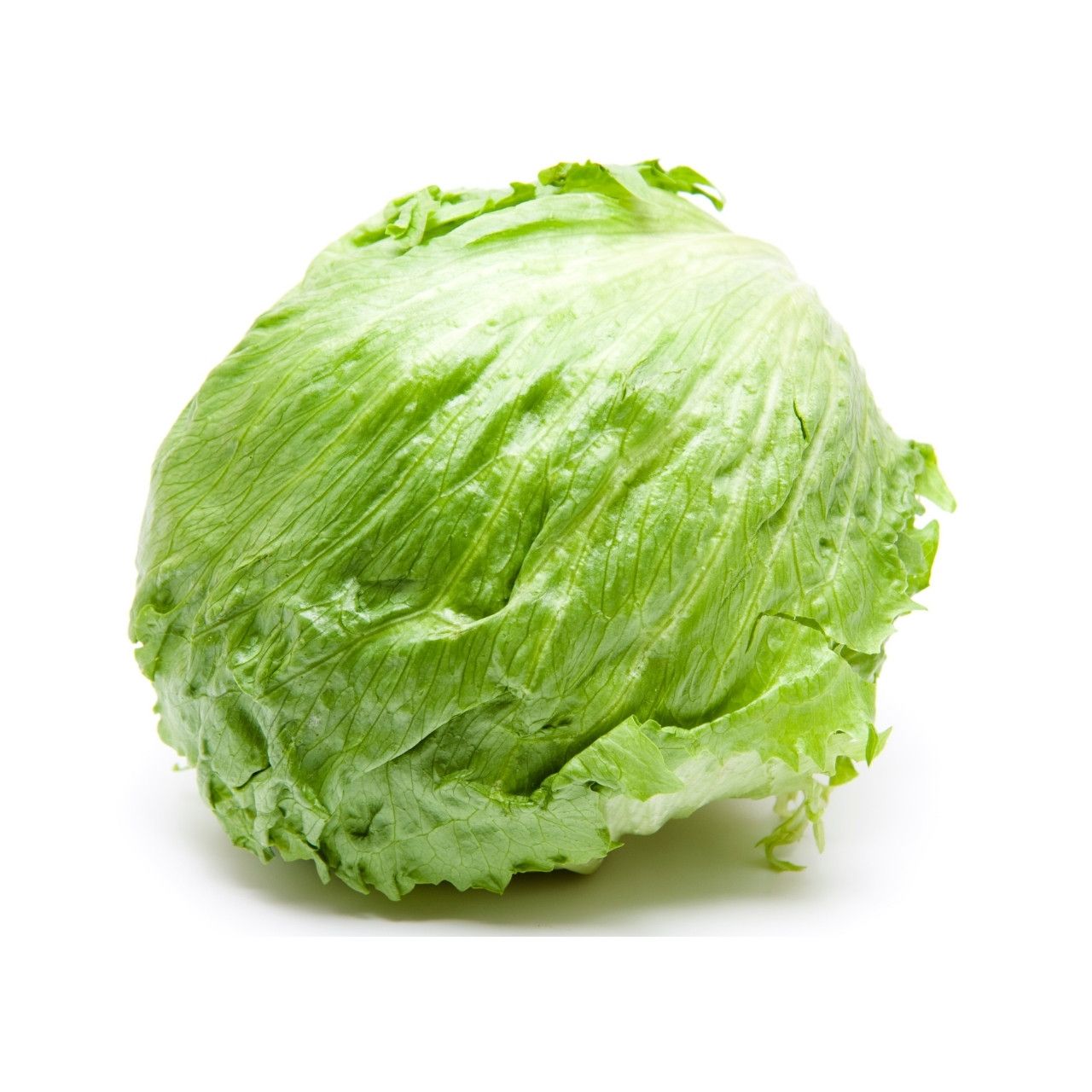 Crisphead varieties like Iceberg in lettuce