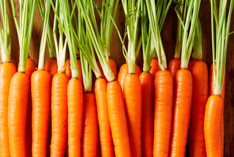 Why Thinning Carrots Actually Matters (It's Not Just Extra Work)