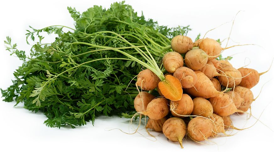 The Perfect Spacing Guide for Different Carrot Varieties Mini and Parisian Varieties